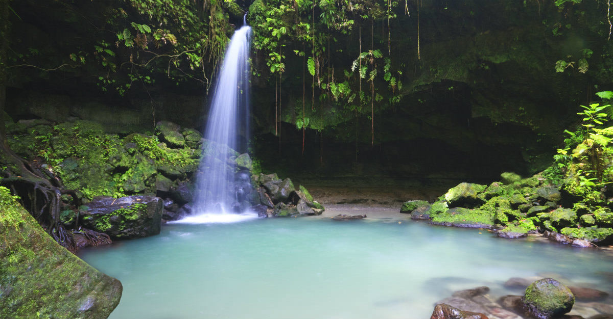 La nature intacte de la Dominique offre des caractéristiques incroyables comme les chutes d'eau et les forêts tropicales.