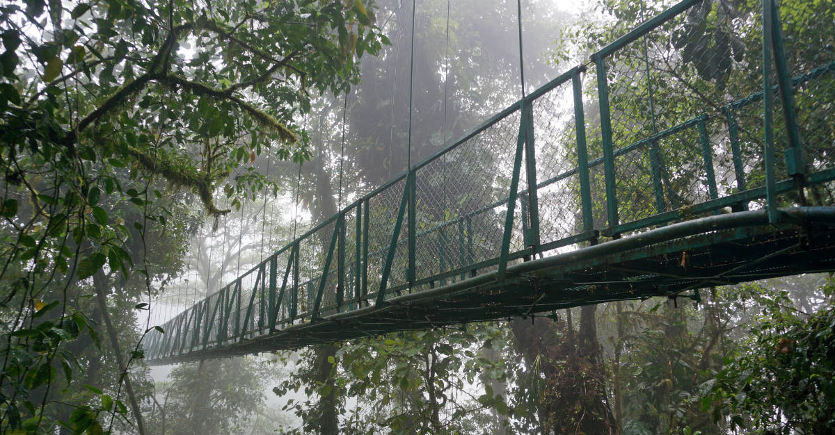 La réserve biologique de Monteverde semble sortir tout droit d'un succès commercial de Hollywood