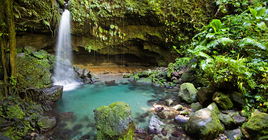 Dominica's untouched nature provides unbelievable features like waterfalls and rain forests.