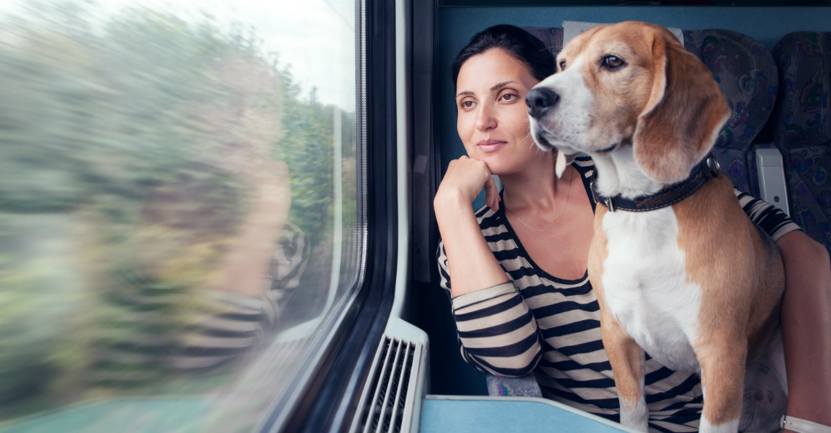 Just because you're traveling doesn't mean your pet has to stay home.