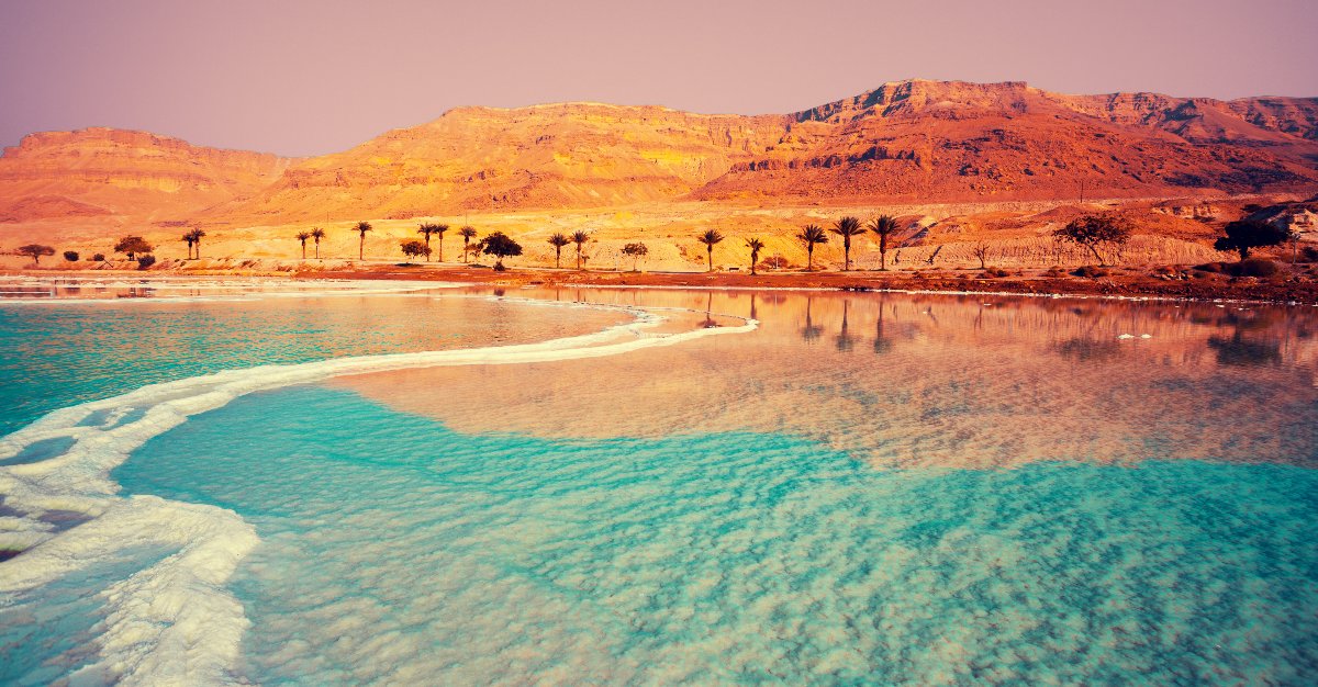 Palm trees line the beaches of the Dead Sea.