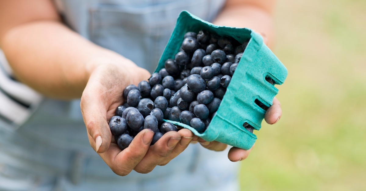 Blueberries are rich in antioxidants that aid the immune system.