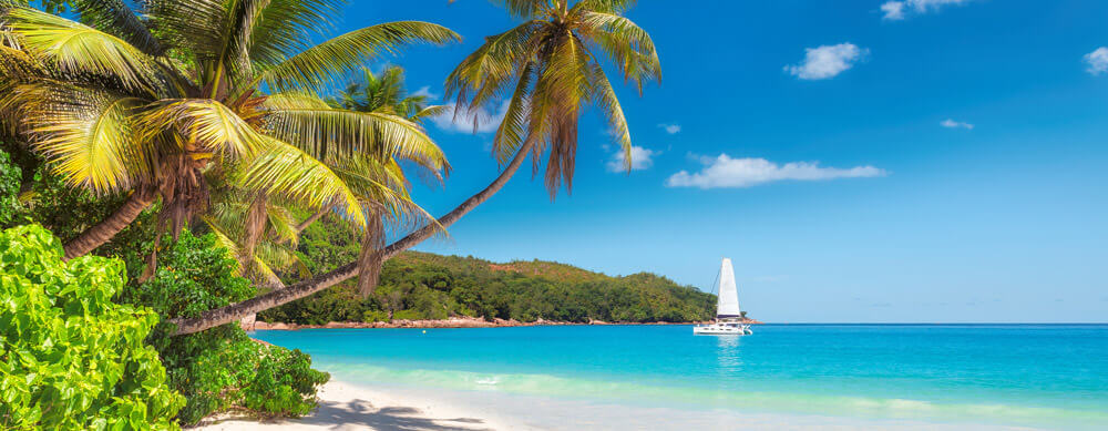 Travel safely to Jamaica with Passport Health's travel vaccinations and advice.