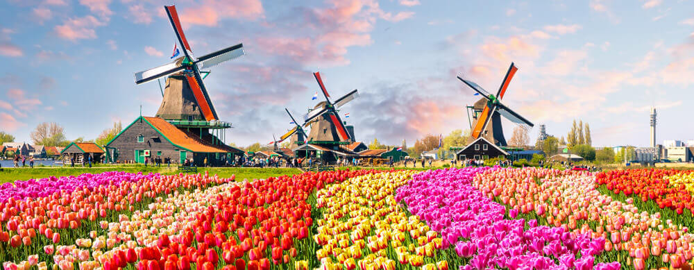 Des moulins à vent aux tulipes, les Pays-Bas ont quelque chose à offrir à chacun. Visitez Passport Health pour voyager en toute sécurité.