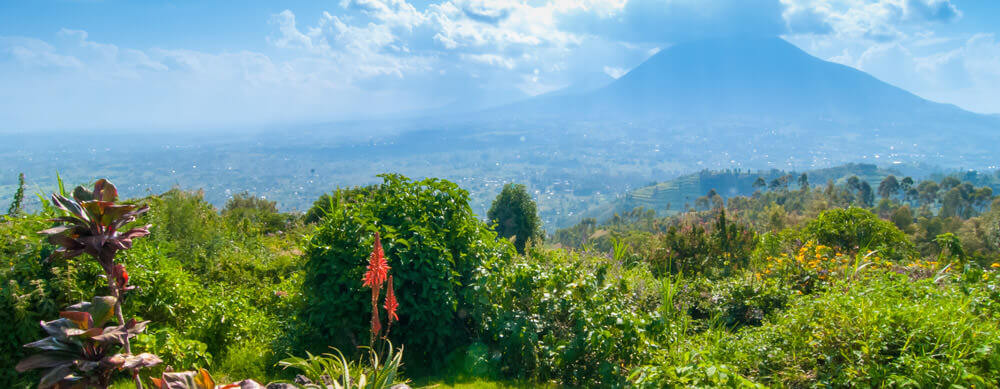 Travel safely to Rwanda with Passport Health's travel vaccinations and advice.