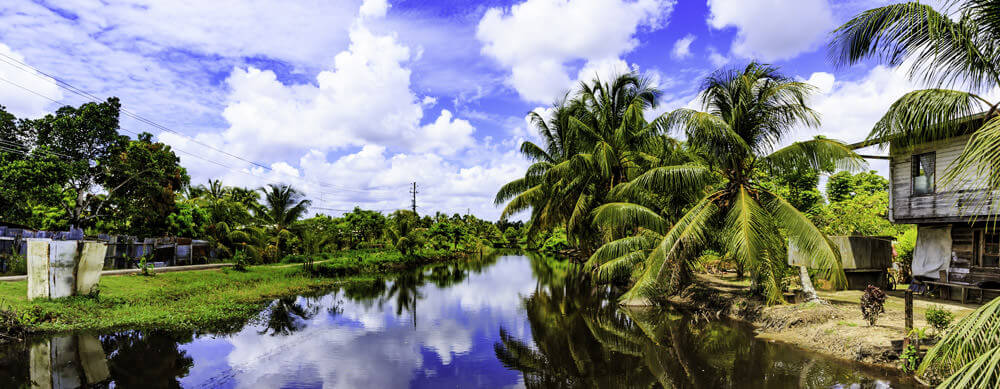Le Suriname est parsemé de rivières calmes et de scènes sereines. Profitez-en en toute sérénité grâce aux services de vaccination et de médication de voyage de Passport Health.
