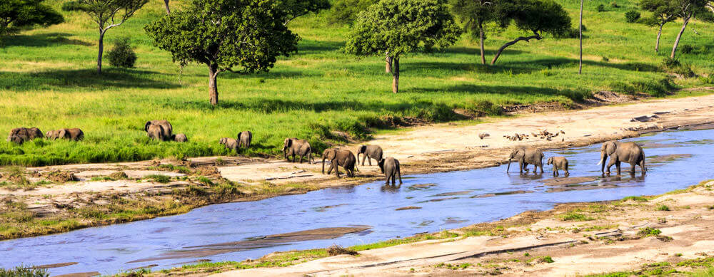 Les safaris et la faune ne sont que deux raisons de visiter la Tanzanie. Voyagez en toute sécurité avec l'aide de Passport Health et de ses services de vaccination de premier ordre.