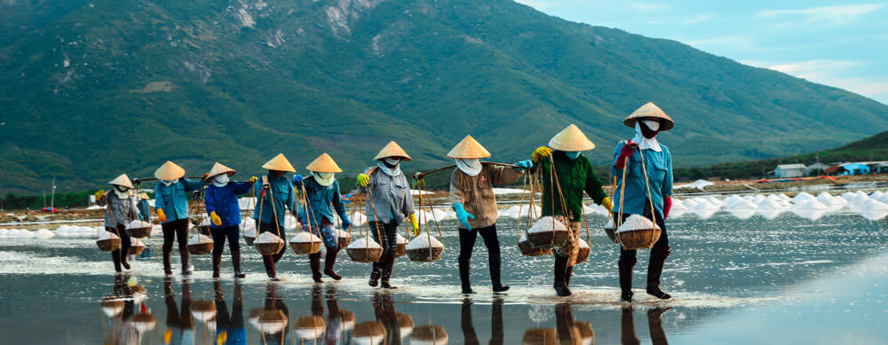 Les rizières et la beauté de la nature sont les caractéristiques du Vietnam. Visitez-les en toute sécurité avec les services de vaccination de premier plan de Passport Health.