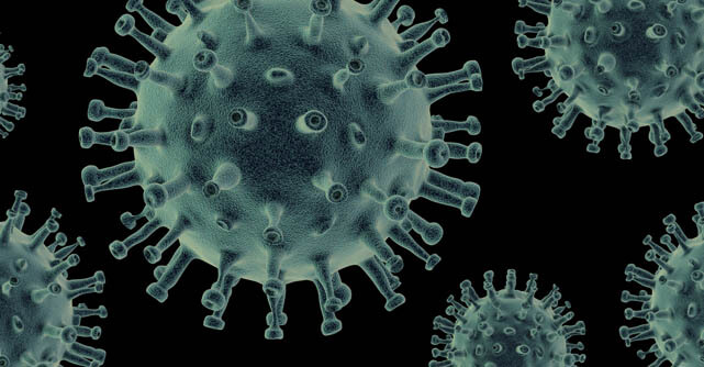 A recent study shows that cells actively help flu viruses enter them.