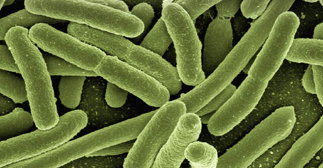 Researchers pioneered a new CRISPR-based method of genetically fighting bacterial resistance.