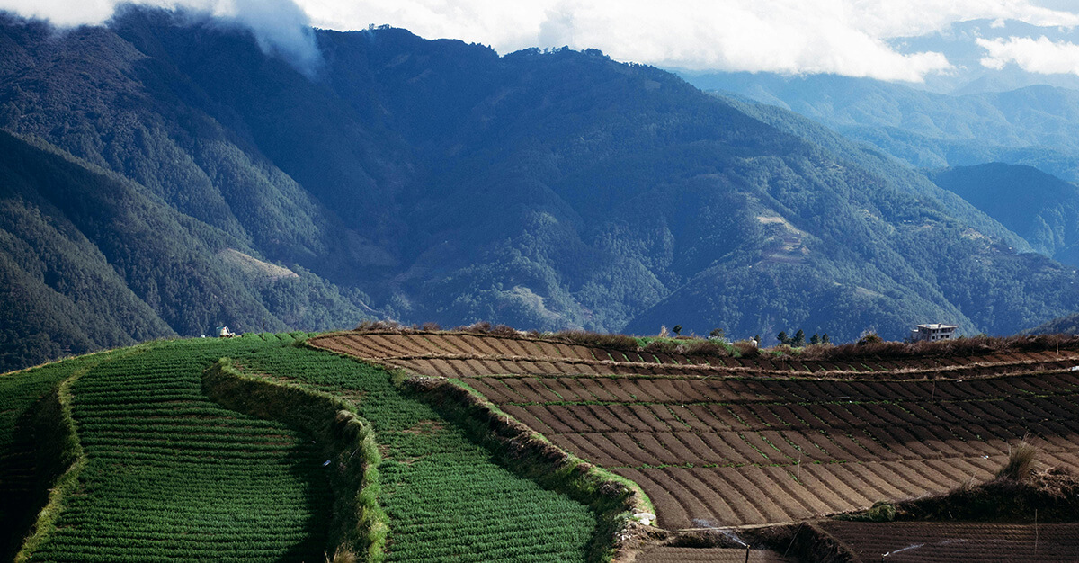 Scenic Mountain Farmland with Terraced Fields