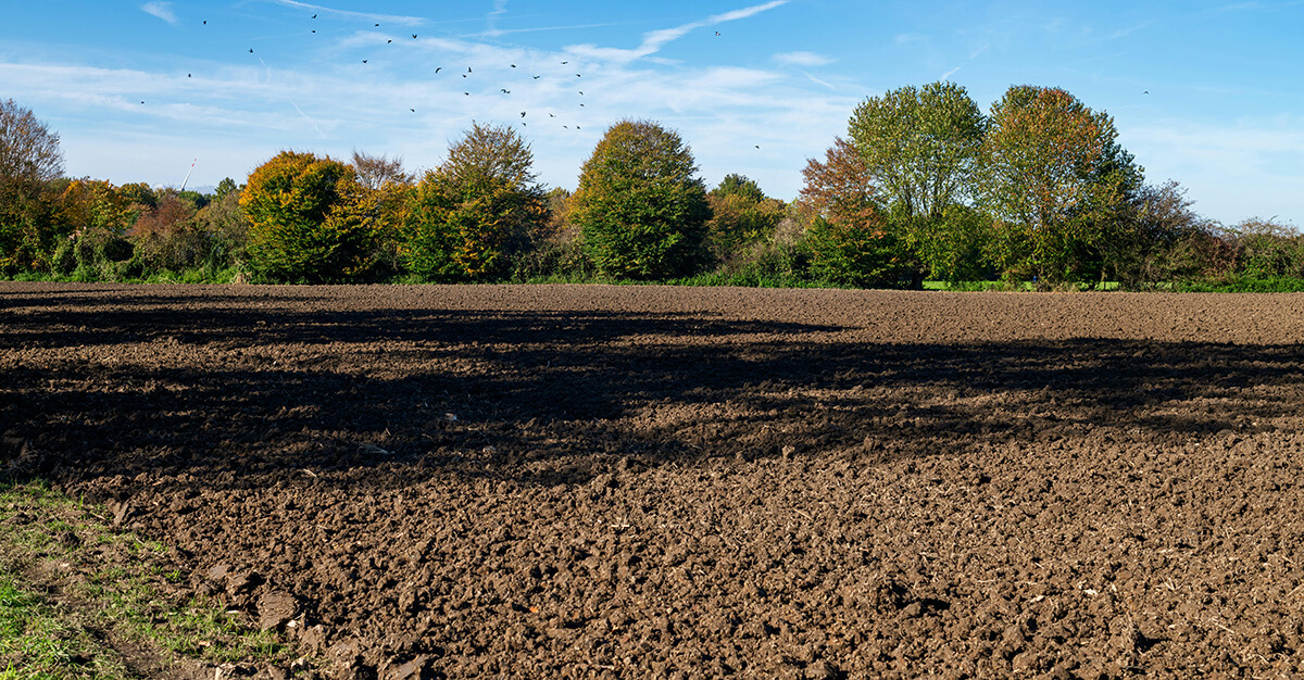 A new antibiotic may be key to fighting some kinds of drug resistance.