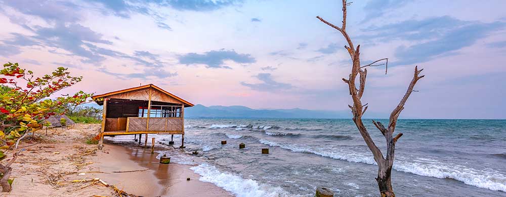 Ocean views, relaxed lifestyles and more attract travellers to Burundi. Enjoy your trip from start to finish with protection provided by vaccines and more.