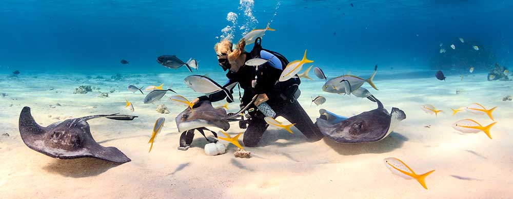 The Cayman's are known for their SCUBA diving and underwater sights. Enjoy it all worry-free with help from Passport Health's travel health services.