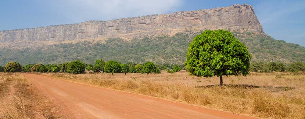 Les flancs des montagnes et les plaines calmes sont les principales raisons de visiter la Guinée. Voyagez en toute sécurité grâce aux vaccins et aux conseils de Passport Health.