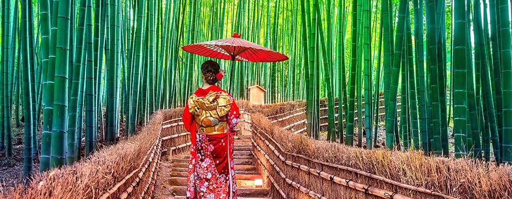 Le Japon est riche en histoire et en curiosités. Visitez le pays en toute sérénité grâce aux services de vaccination spécialisés de Passport Health.