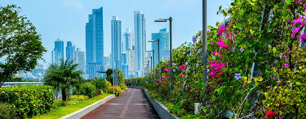 La ville rencontre la jungle dans les destinations les plus populaires du Panama. Voyagez en toute sécurité grâce aux vaccins et aux conseils de Passport Health.