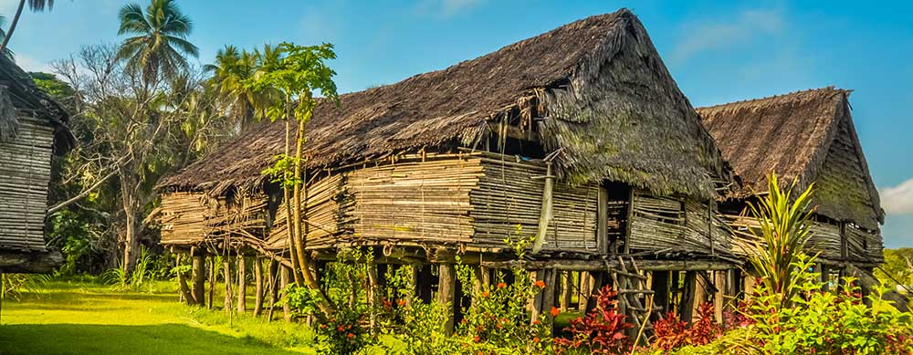 Les maisons en chaume et la faune sauvage sont fascinantes en Papouasie-Nouvelle-Guinée, mais la maladie ne l'est pas. Restez protégé grâce aux vaccins et à d'autres informations de Passport Health.