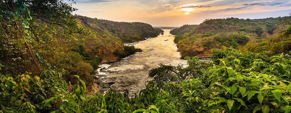 Jungles, rivers and more are must-sees in Uganda. Passport Health's travel vaccination services will help you stay safe while there.