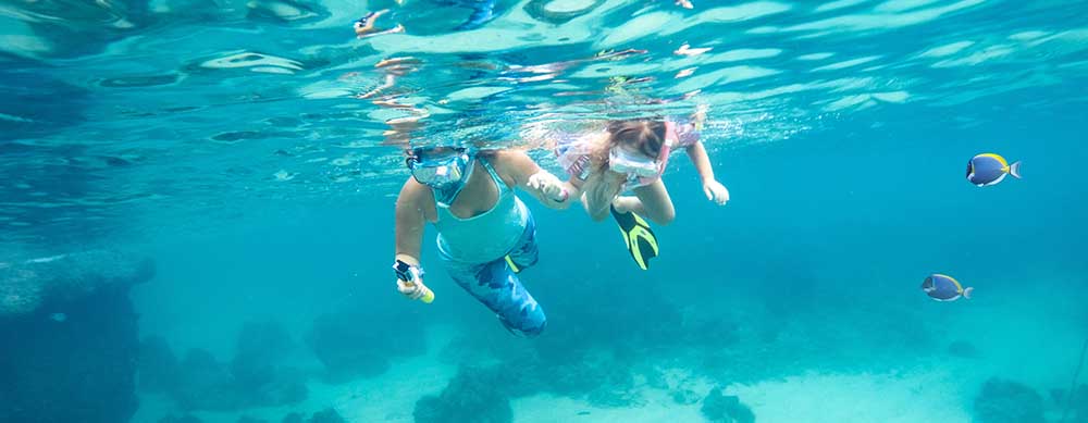 Snorkeling is just one amazing activity at Wake Island. See it all while staying healthy with help from Passport Health vaccination and consultation services.